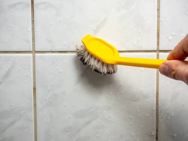 Best Office Mold Removal Services  in Belle Plaine, KS